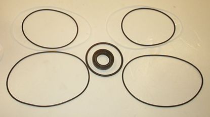 Picture of TKP 4-26 CENTRE SECT PUMP SEAL ***