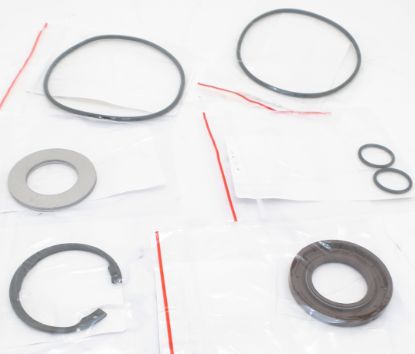 Picture of F11-019 (H) SAWMOTOR PTFE SEAL KIT