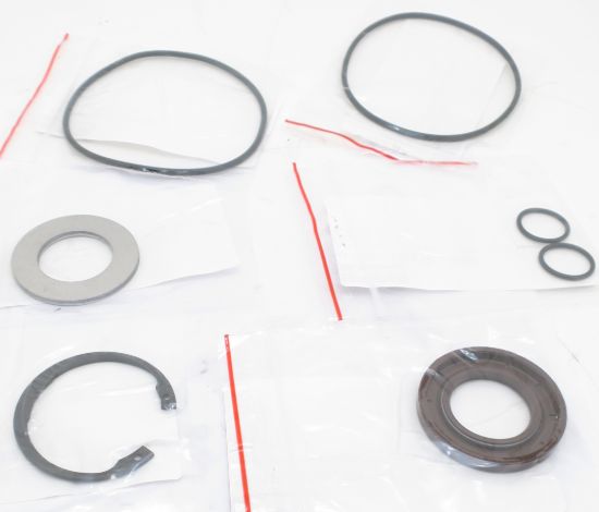 Picture of F11-019 (H) SAWMOTOR PTFE SEAL KIT