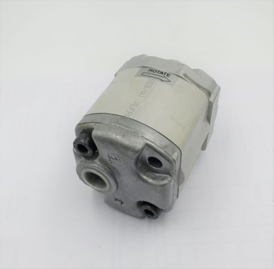 Image de SEB1/1.7 S FR08 Pompe à engrenage