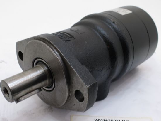 Picture of WWM 250 HIGH TORQUE MOTOR