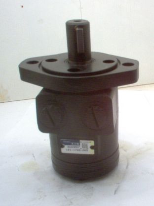 Picture of CHAR-LYNN 101-1700-009