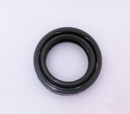Picture of TAP 60-200 *02  2 BOLT SHAFT SEAL