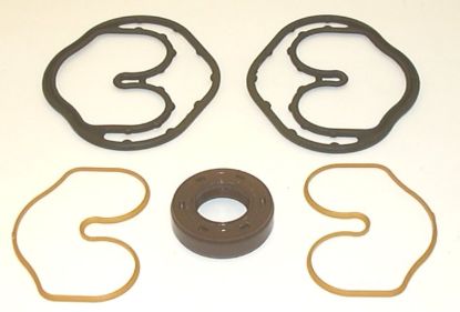Picture of SNP1 01 VITON SEAL KIT