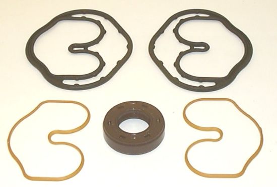 Picture of SNP1 01 VITON SEAL KIT