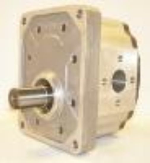 Picture of 2PL 050 CPDFBN HYDRAULIC GEAR PUMP