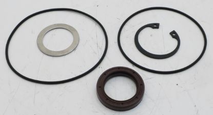 Picture of VITON SEALKIT FOR F11-006/010/012
