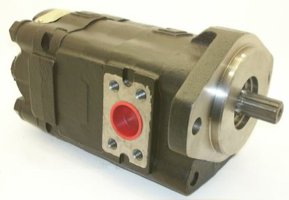 Imagen de D30PA02-185H5497 BOMBA DE ENGRANAJE**