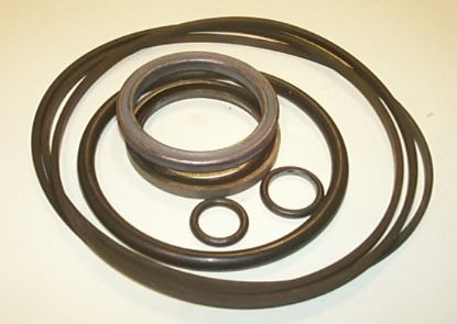 Picture of CHAR-LYNN 213 SERIES 001 SEAL KIT