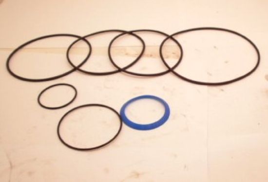 Picture of DANFOSS OMTS  SEALKIT