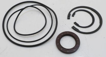 Picture of VITON SEALKIT FOR F12-030