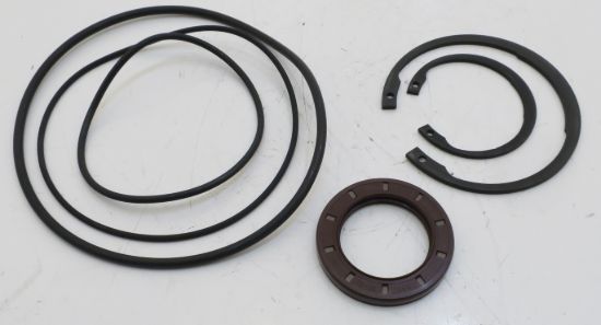 Picture of VITON SEALKIT FOR F12-030