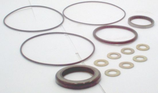 Picture of SEAL KIT FOR DANFOSS OMN MOTOR**