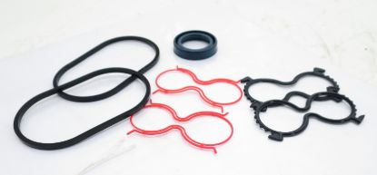 Picture of CASAPPA PLM20 SEAL KIT No 62046658