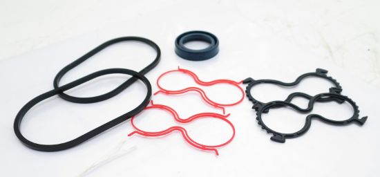 Picture of CASAPPA PLM20 SEAL KIT No 62046658