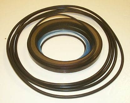 Picture of DANFOSS OMV/OMVW SERIES 2 SEAL KIT