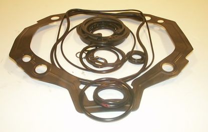 Picture of 70442 PUMP SEAL KITS