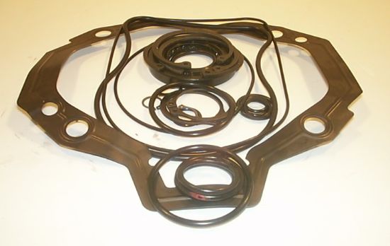 Picture of 70442 PUMP SEAL KITS