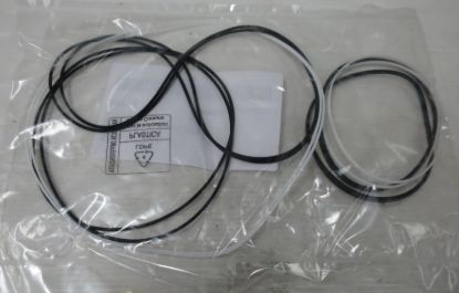 Picture of TAP 60-200/11-71 SEAL KIT