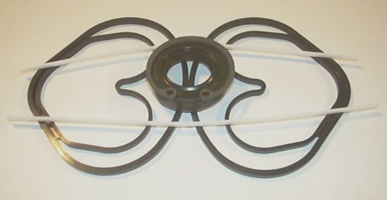 Picture of SP20 SERIES SEAL KIT