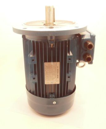 Picture of 3 PHASE 1440RPM D100 B3 B5  3.0KW