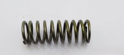 Picture of SWASHPLATE SPRING FOR 70423