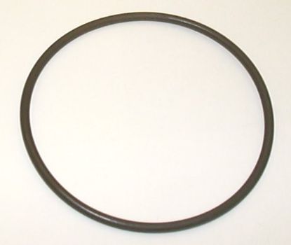 Picture of PGP511-PGP511 ''O'' RING / PBP3 SS