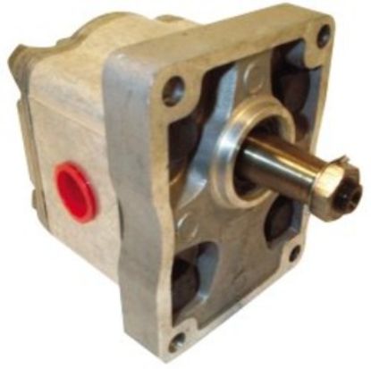 Imagen de C4.5L BOMBA 3001074-003   18269