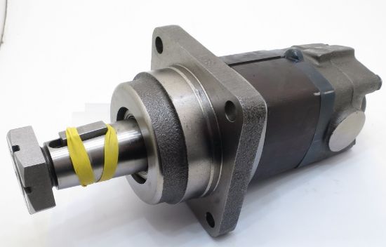 Picture of CHAR-LYNN 167-0036-001