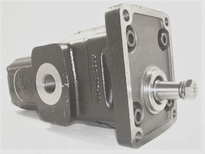 Image de 2PR0501PX195C  5129X NELSON POMPE