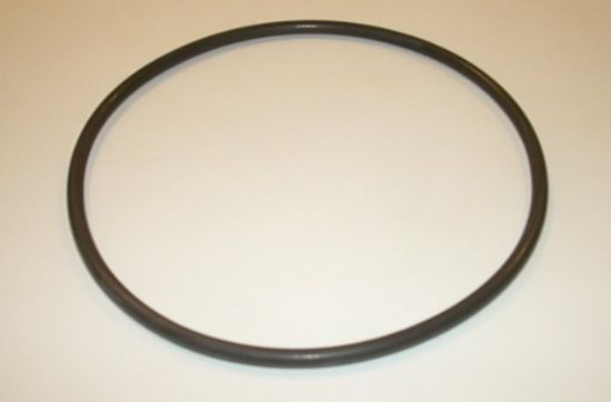 Picture of PA2200 OLD STYLE WEARPLATESEAL