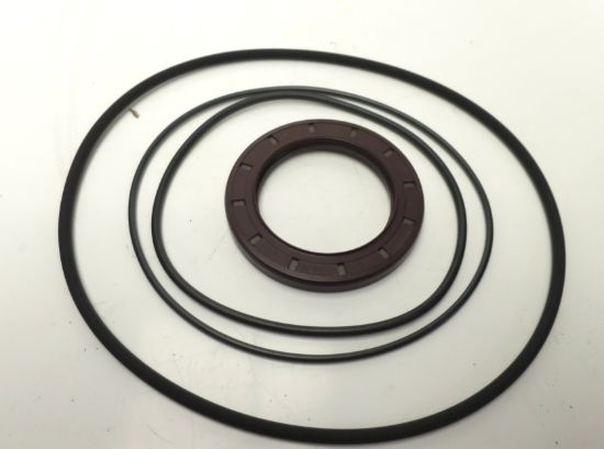 Picture of VITON SEALKIT FOR F12-040/060