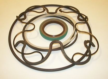 Picture of PAP2200 PLAIN BEARING SEAL KITS