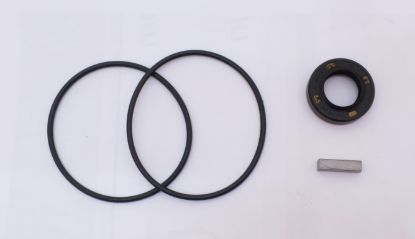 Picture of HM30/50 SEAL KIT