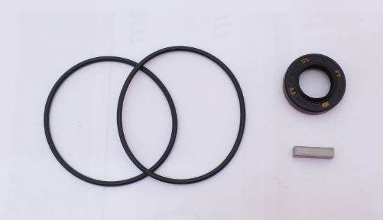Picture of HM30/50 SEAL KIT