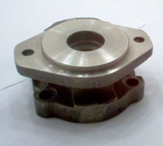Picture of PGM620SAEA 2 BOLT FLANGE - CHECKS