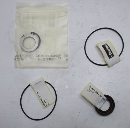 Picture of VITON SEALKIT FOR F11-005