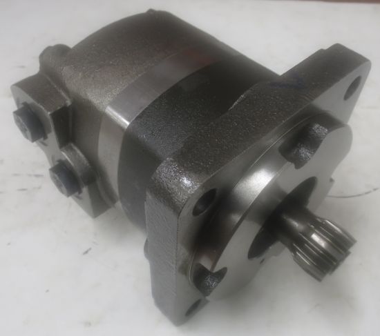 Picture of CHAR-LYNN 111-1070-004