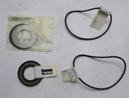 Picture of VITON SEALKIT FOR F12-110/125