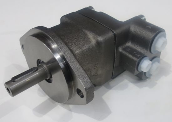 Picture of F11-006-MB-CV-K-000-00P PISTON PMP